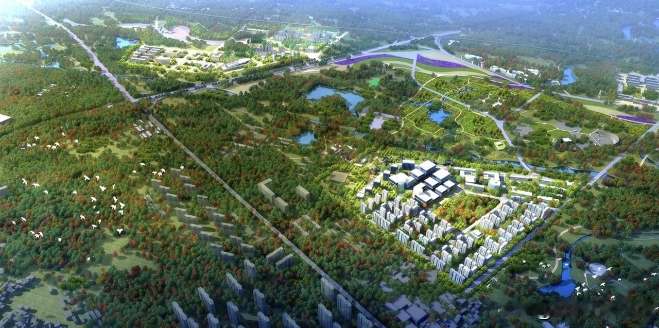 中午你有睡午觉的习惯吗有响，不睡一会，下午不舒服，无精打采。