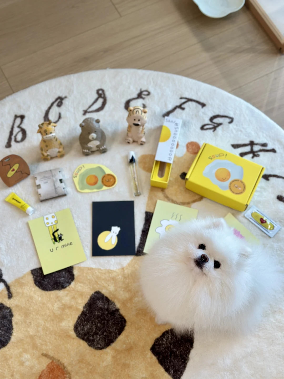可算是体验到狗界万人迷的滋味了～（傲娇脸）