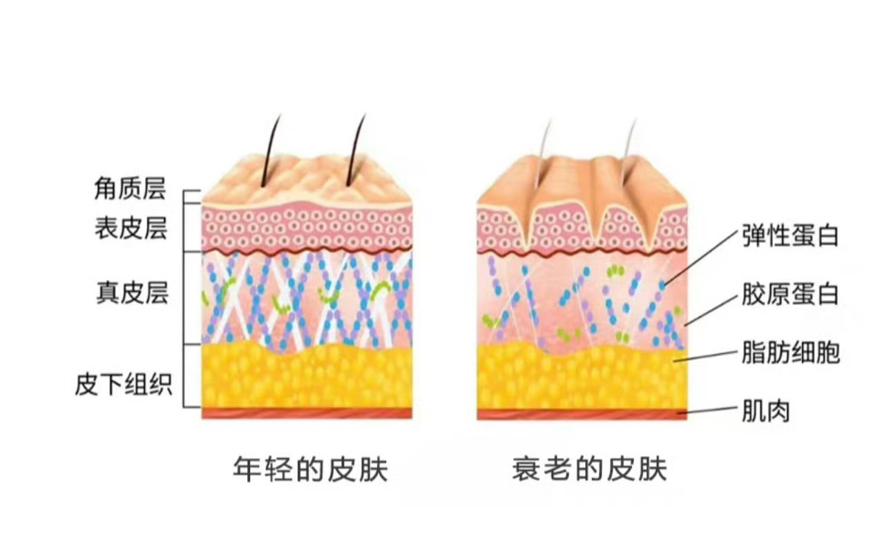 春敏修护黄金法则春天过敏源多、气温忽冷忽热的，脸很容易干痒泛红，做好温和清洁+即