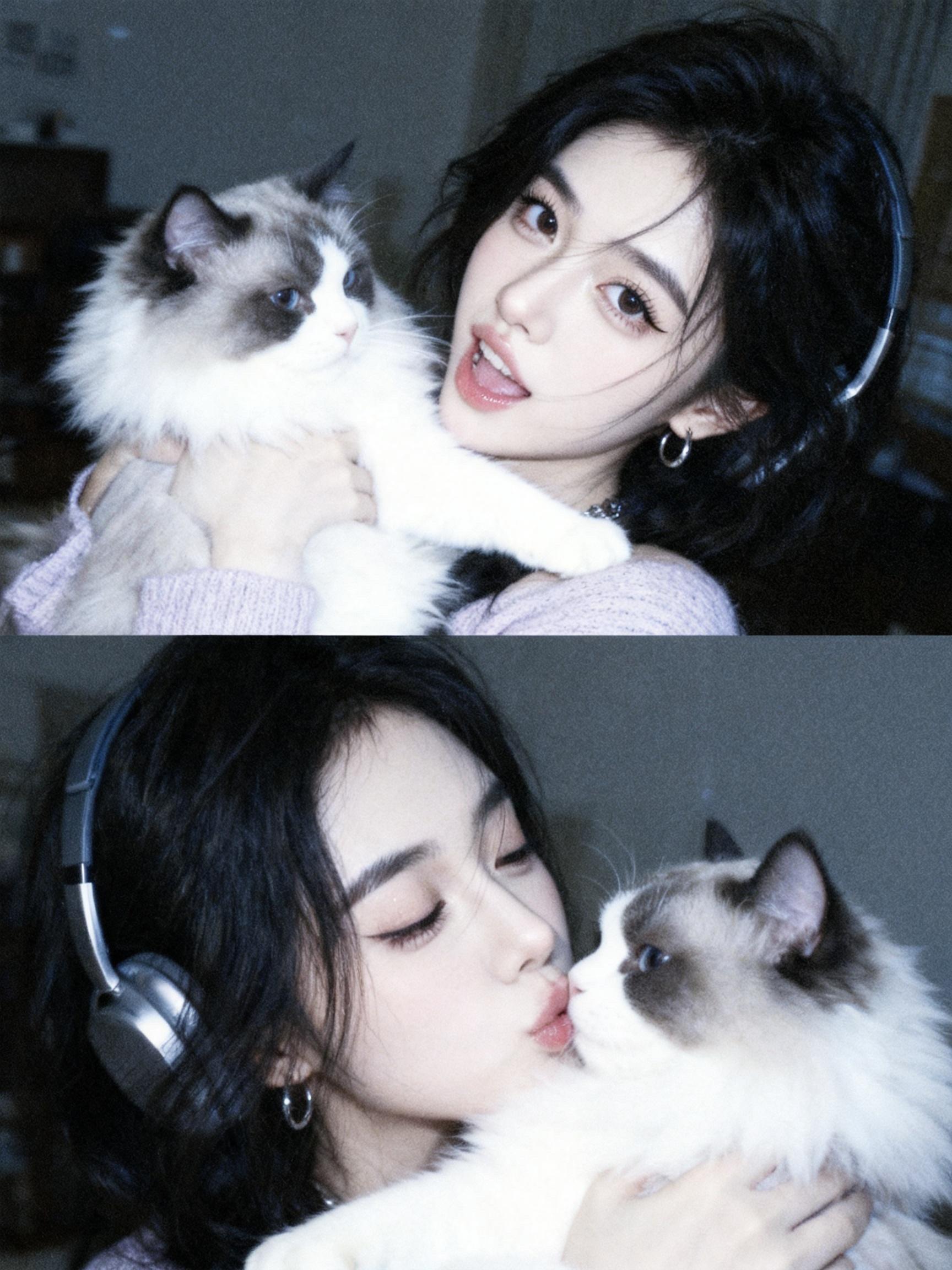 🐱🐱🐱忙飞 中。