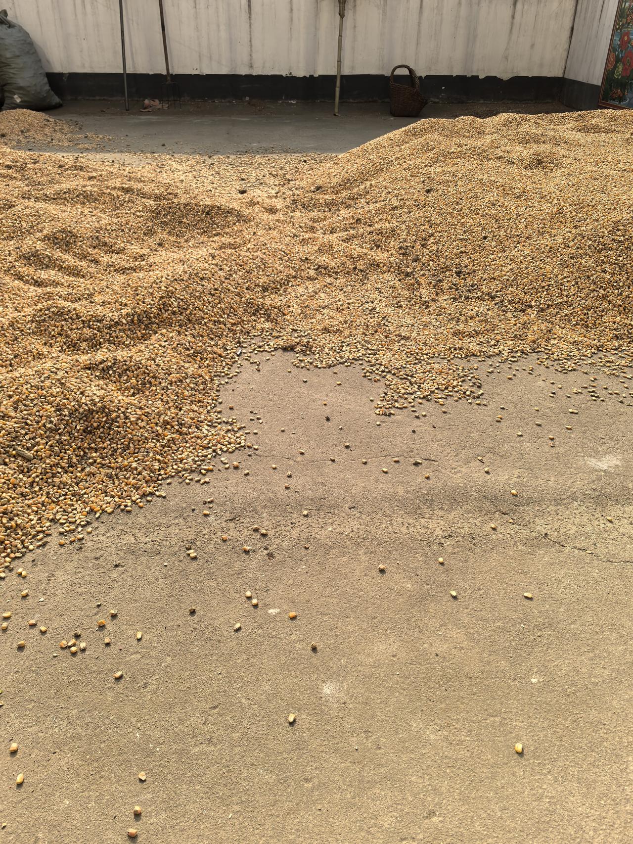 又是平凡普通的一天😅