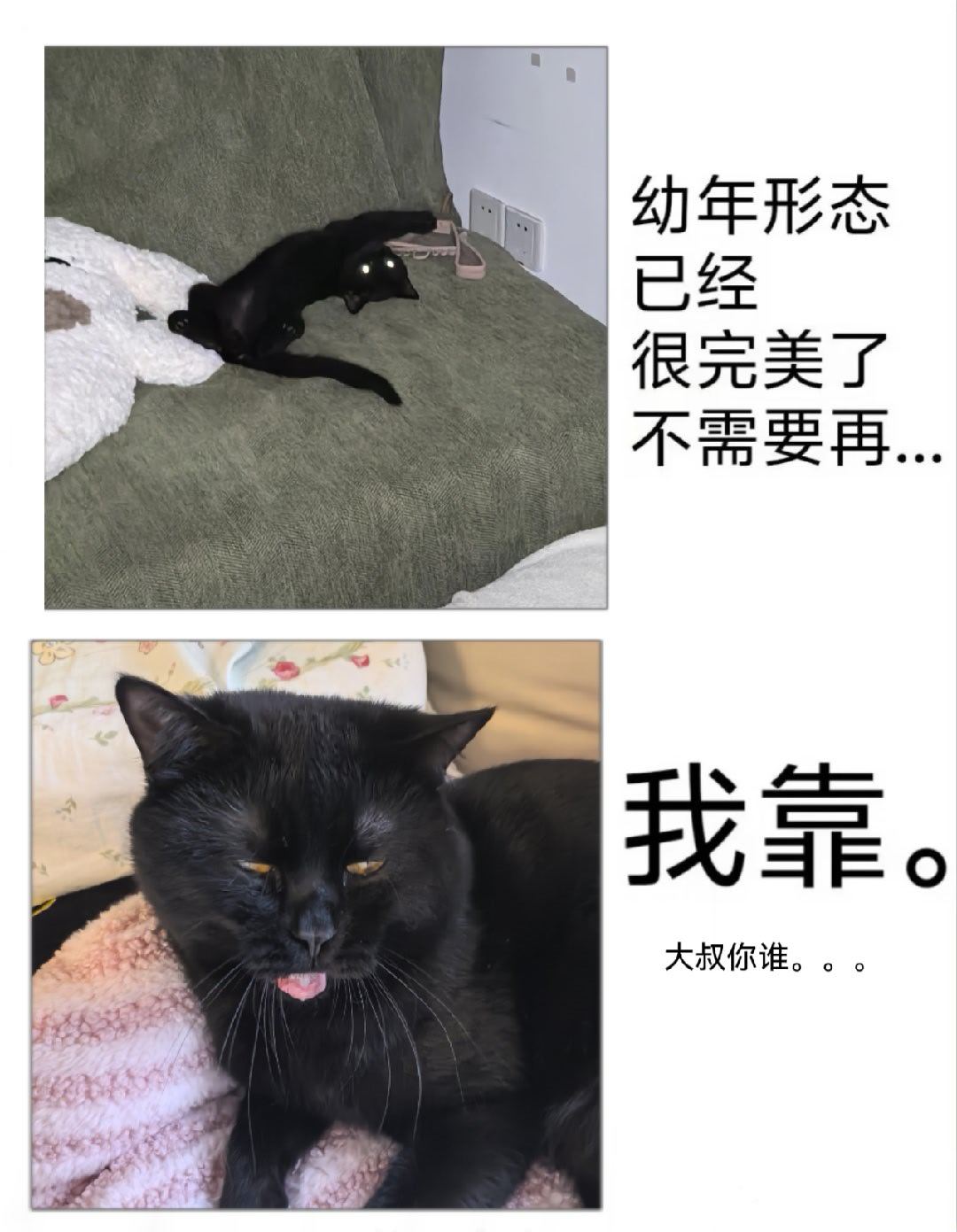 分享图片 
