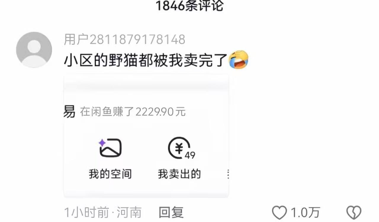 能逮住也是本事 ​​​