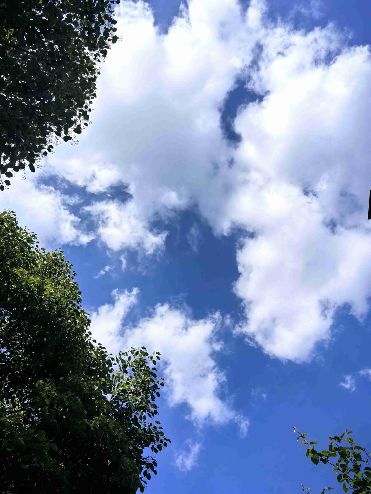我的今日状态：😁轻松愉快
我这里的天气：☀️晴天
清清爽爽的周末，想出去浪一圈