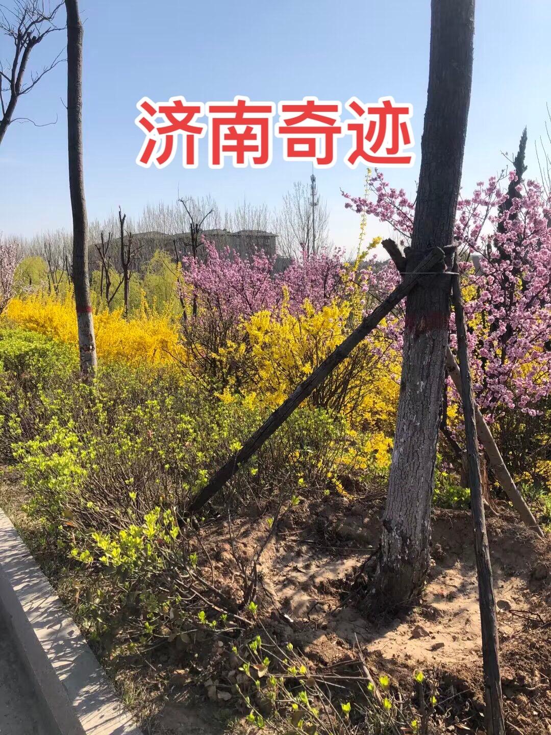 朱元璋把皇位传给孙子朱允炆，建文帝朱允炆一上台就开始削藩。于是朱元璋的...