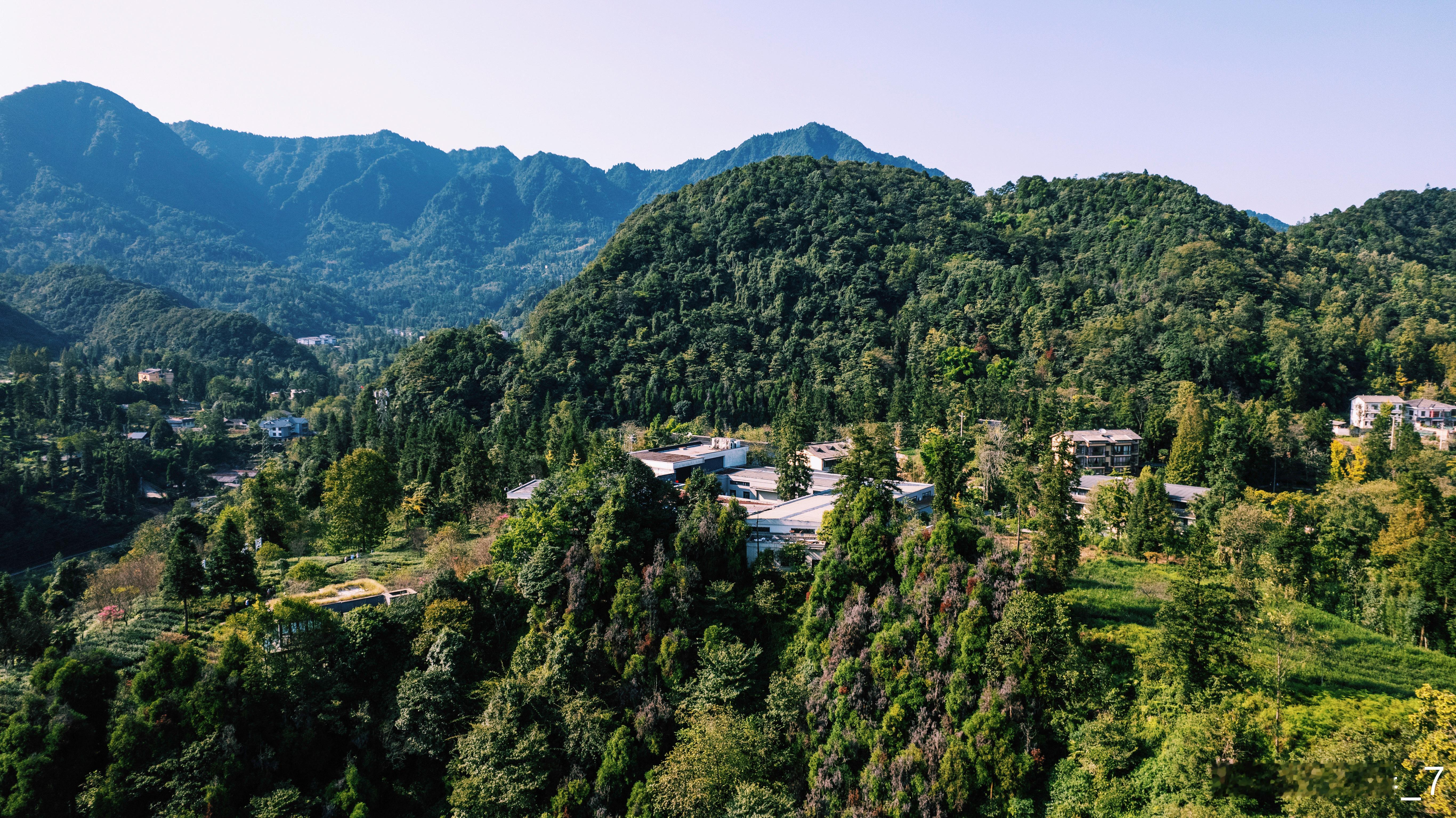 峨眉山旅行，有什么值得带回家？我想一定是峨眉雪芽！这款名茶的历史可以追溯到隋末唐