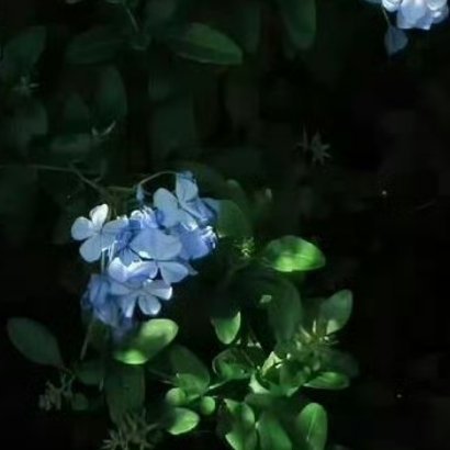 每日一善[超话]生活不会一帆风顺，但我们可以选择乐观面对。把挫折当历练，把困难当