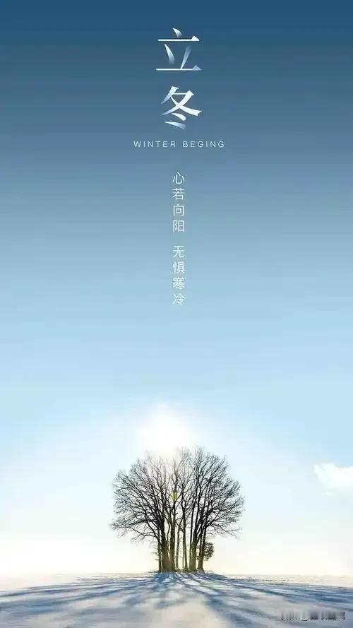 #分享一份秋天给你#

立冬，悄然而至

给郴城带来了冬日的初寒与静美

落叶纷