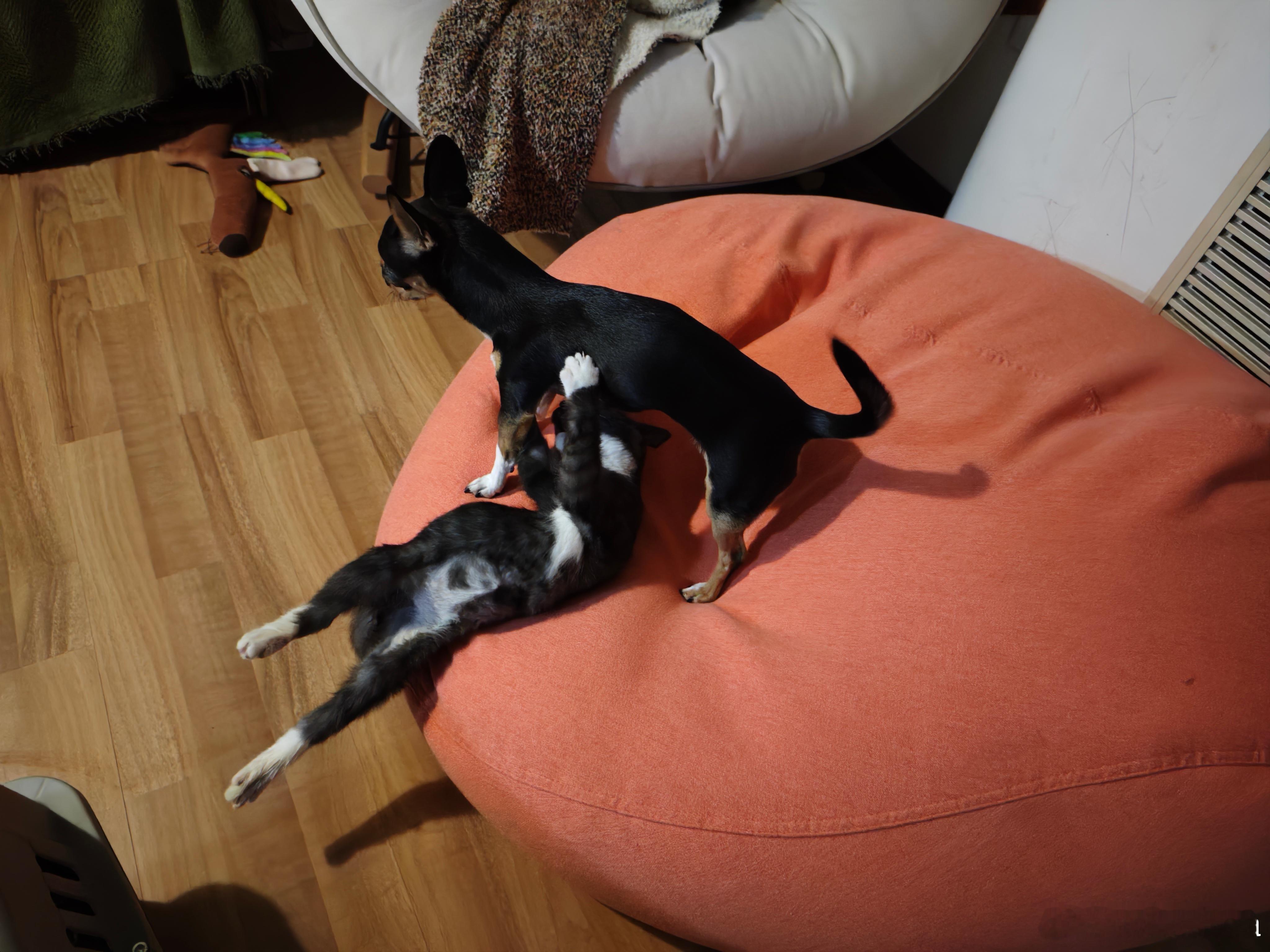 有史以来最飞驰电掣的一次。刺激。  ​​​