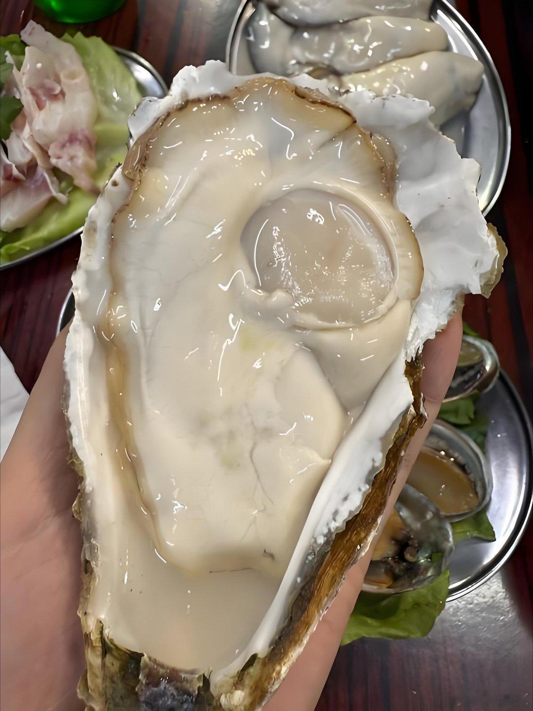 蚝美钦州潮听河海钦州大蚝舌尖盛宴钦州大蚝人见人爱 钦州大蚝有独有的特点。钦州大蚝