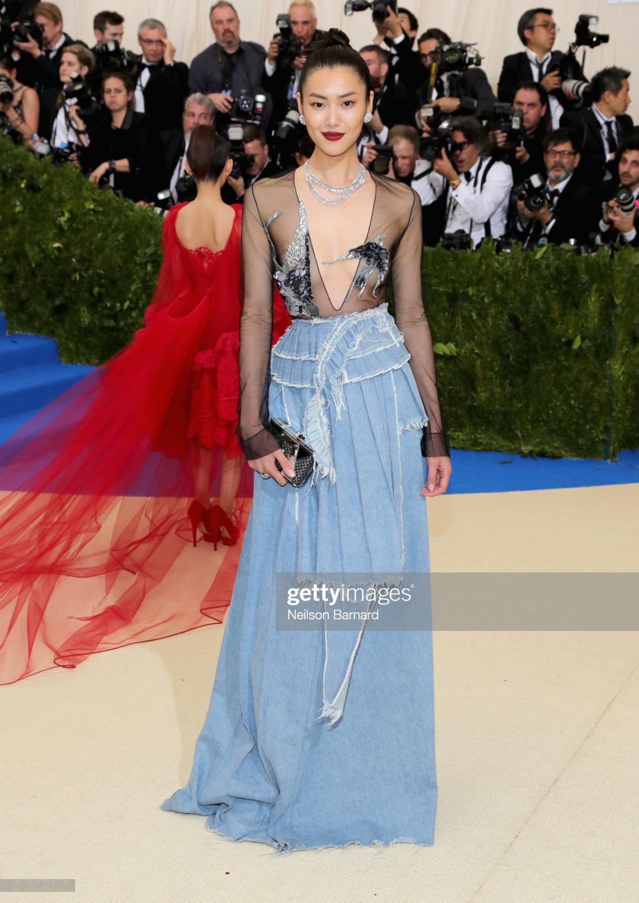 刘雯｜Met Gala 期待大表姐的第14次Met Gala之旅～✨ 