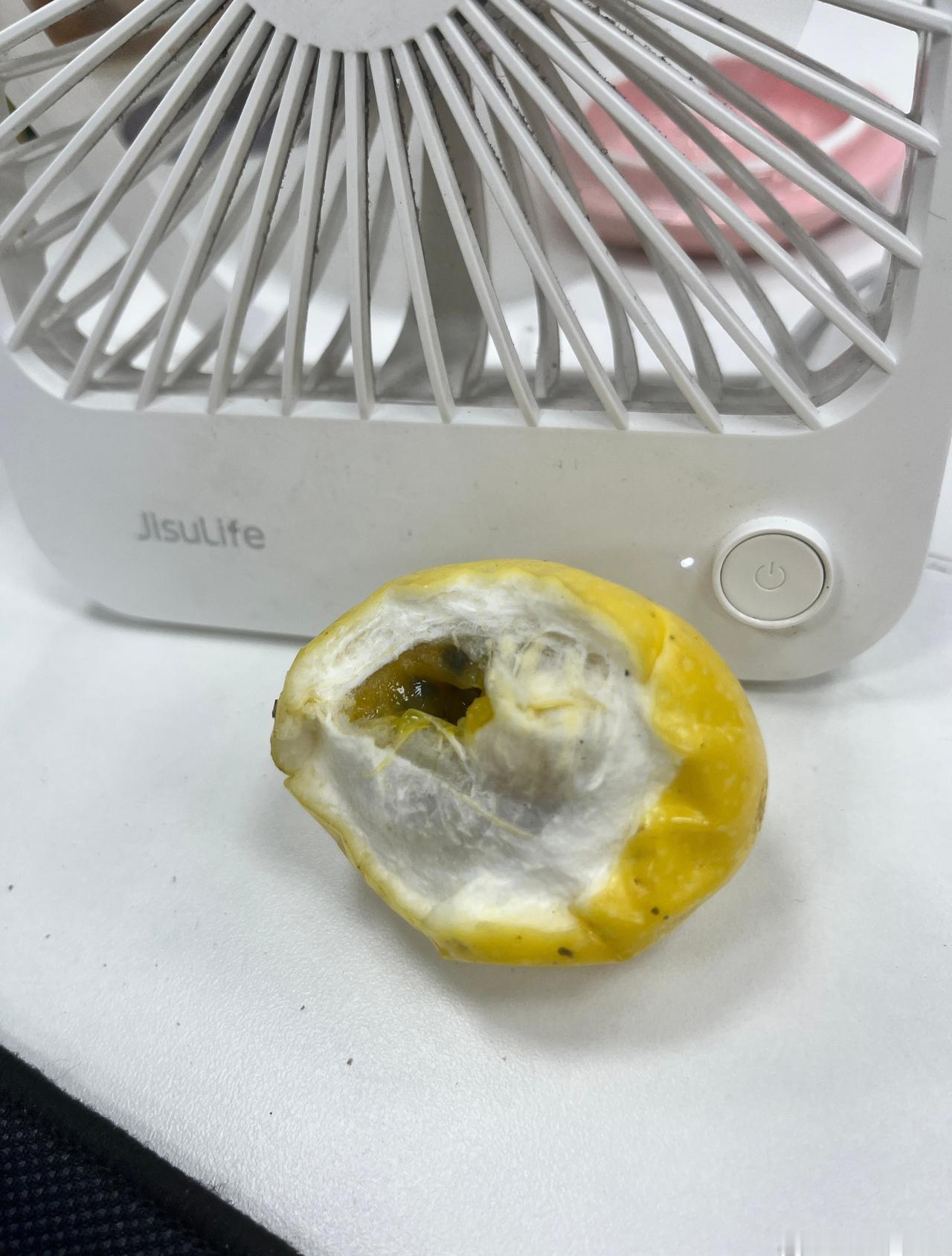 广州上一周还是暴雨不停，这周立马高温了，办公室里面感觉在蒸桑拿了[流泪][流泪]