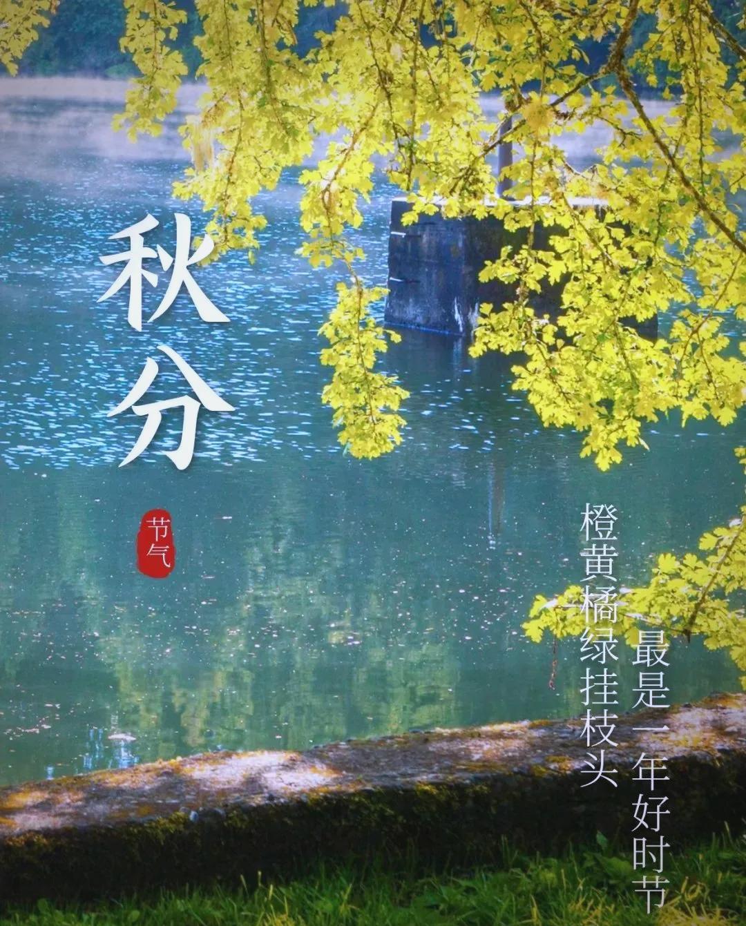 秋分日子是单还是双，就能定冬天冷暖？

你肯定也听过这句老话：
“秋分逢单，冬天