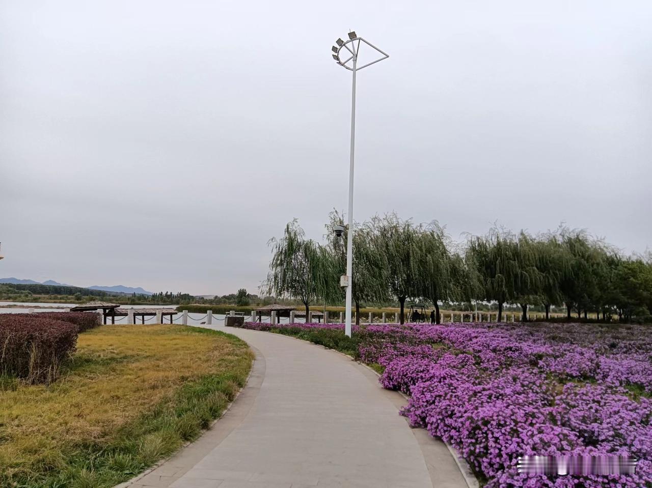 看一个视频，一个老大姐报团一日游，39元还包一顿饭，八菜一汤。她说在便宜面前，原