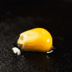 我对期末周： 