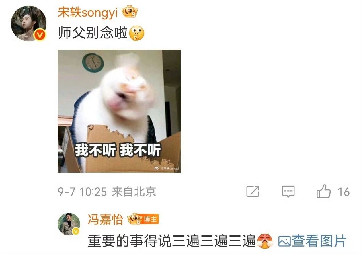 我和领导就宋轶冯嘉怡这样 谁没在宋轶冯嘉怡身上看到自己和领导的影子？宋轶饰演的规