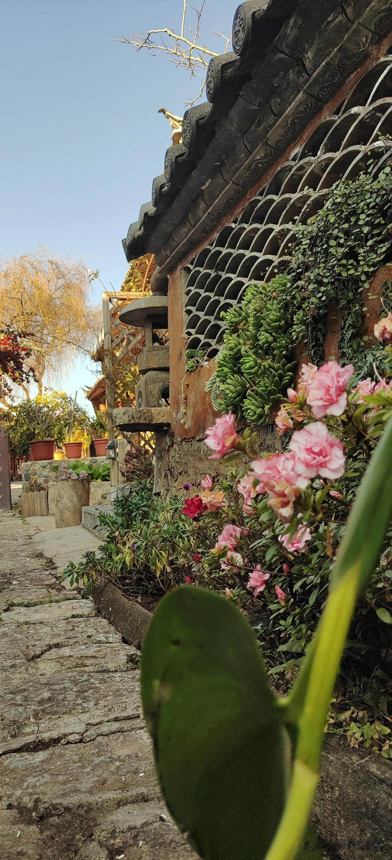 无花不城，无城不花，商贾林立。扎染独院，民街素园，水穿街巷！