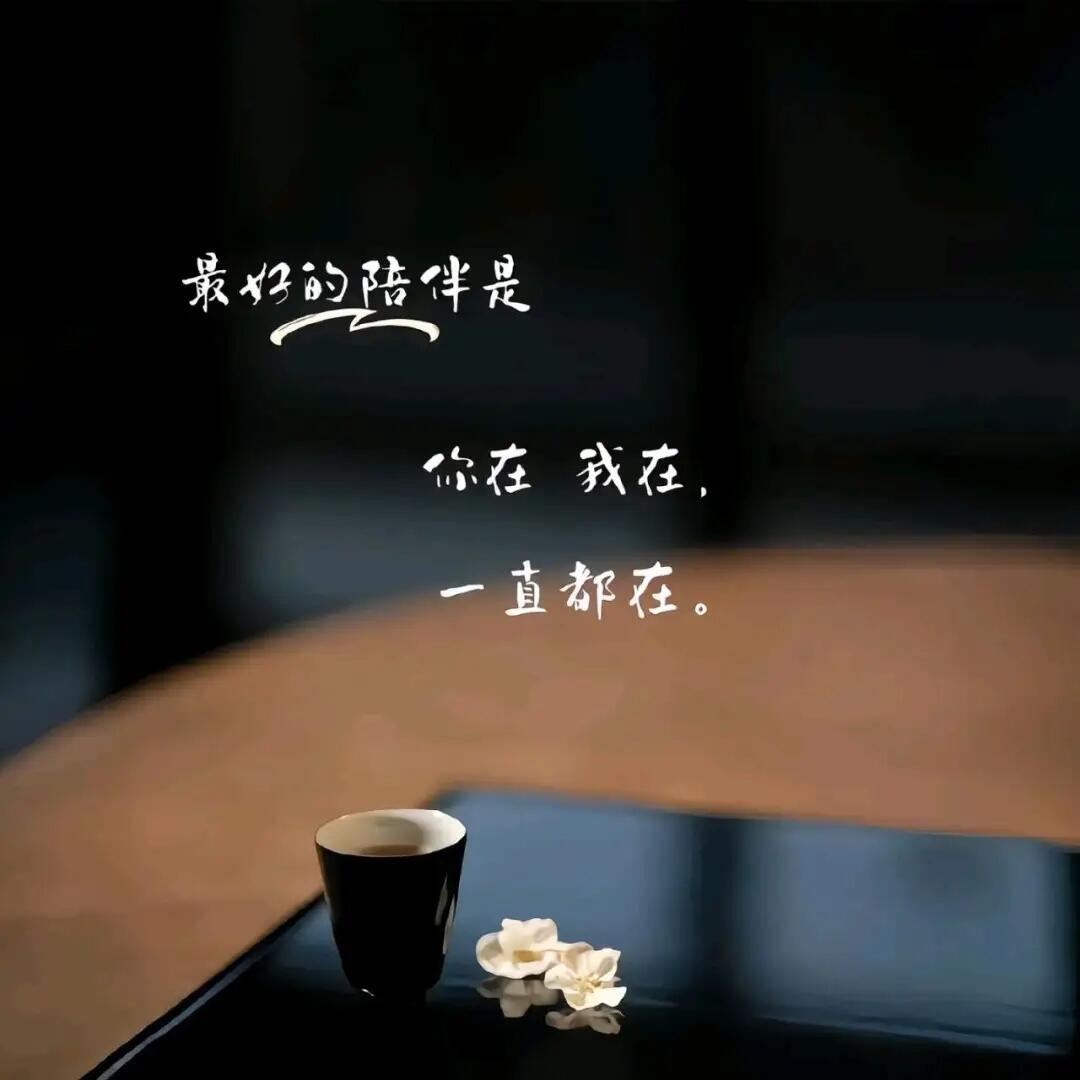 ɢᴏᴏᴅ ʟᴜᴄᴋ◟✨ '͜' .“岁月是一场有去无回的旅行，好的坏的都是风景”