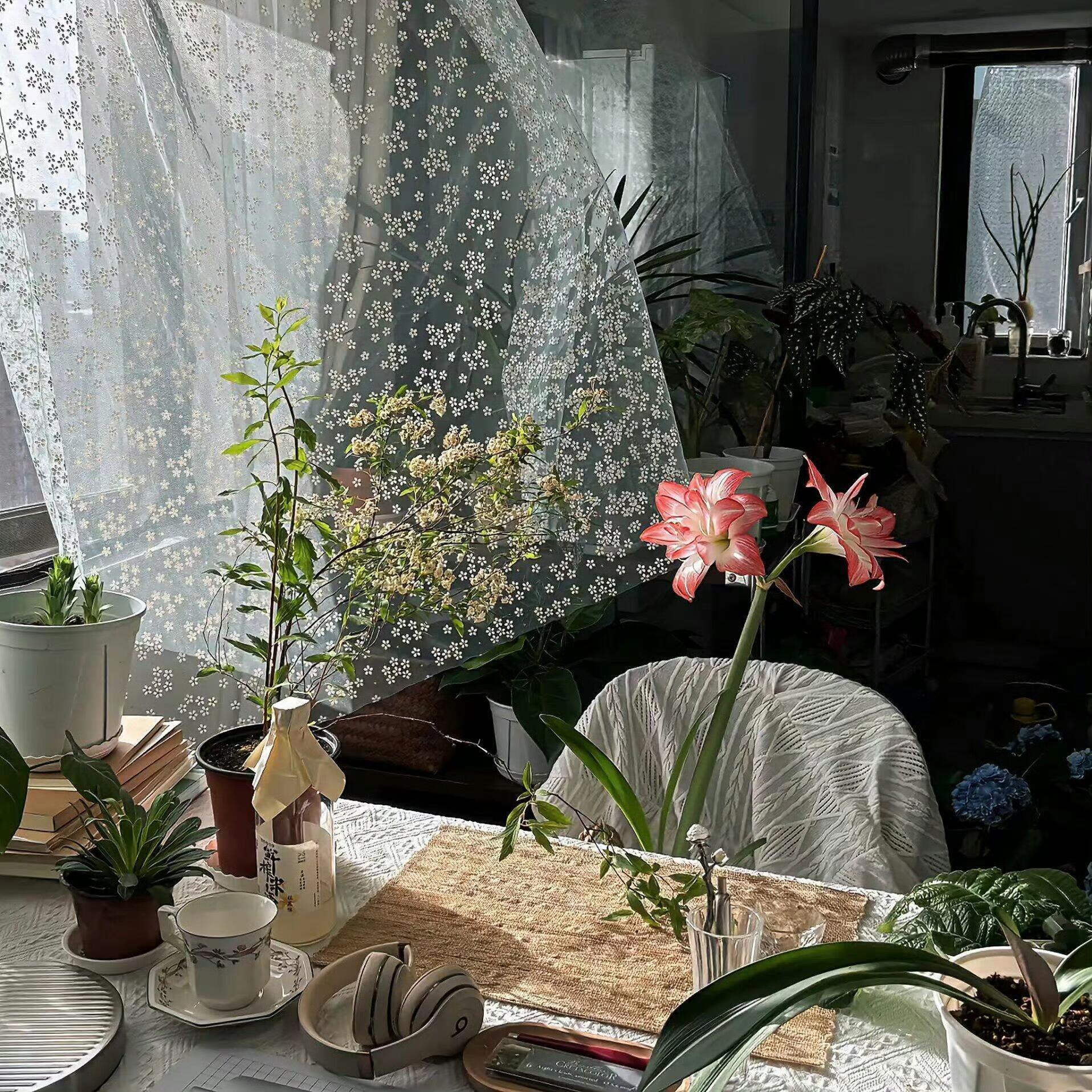 朋友圈背景图 
