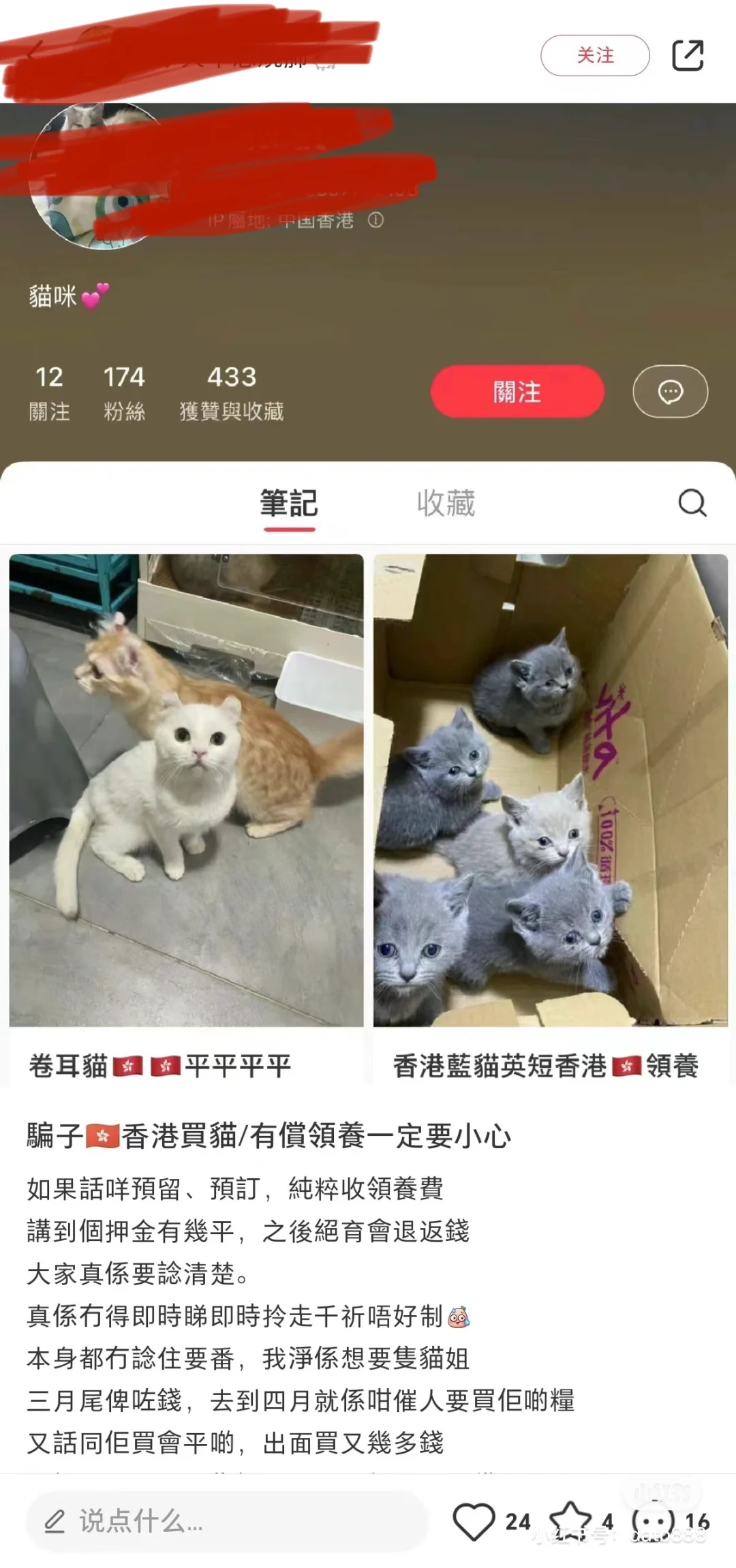 🇭🇰HK買貓💛領養，低糧，平價，騙局‼️