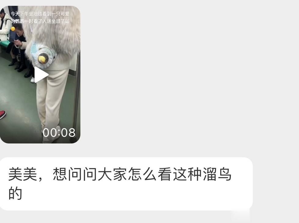 养鹦鹉的小天才们怎么看 ​​​