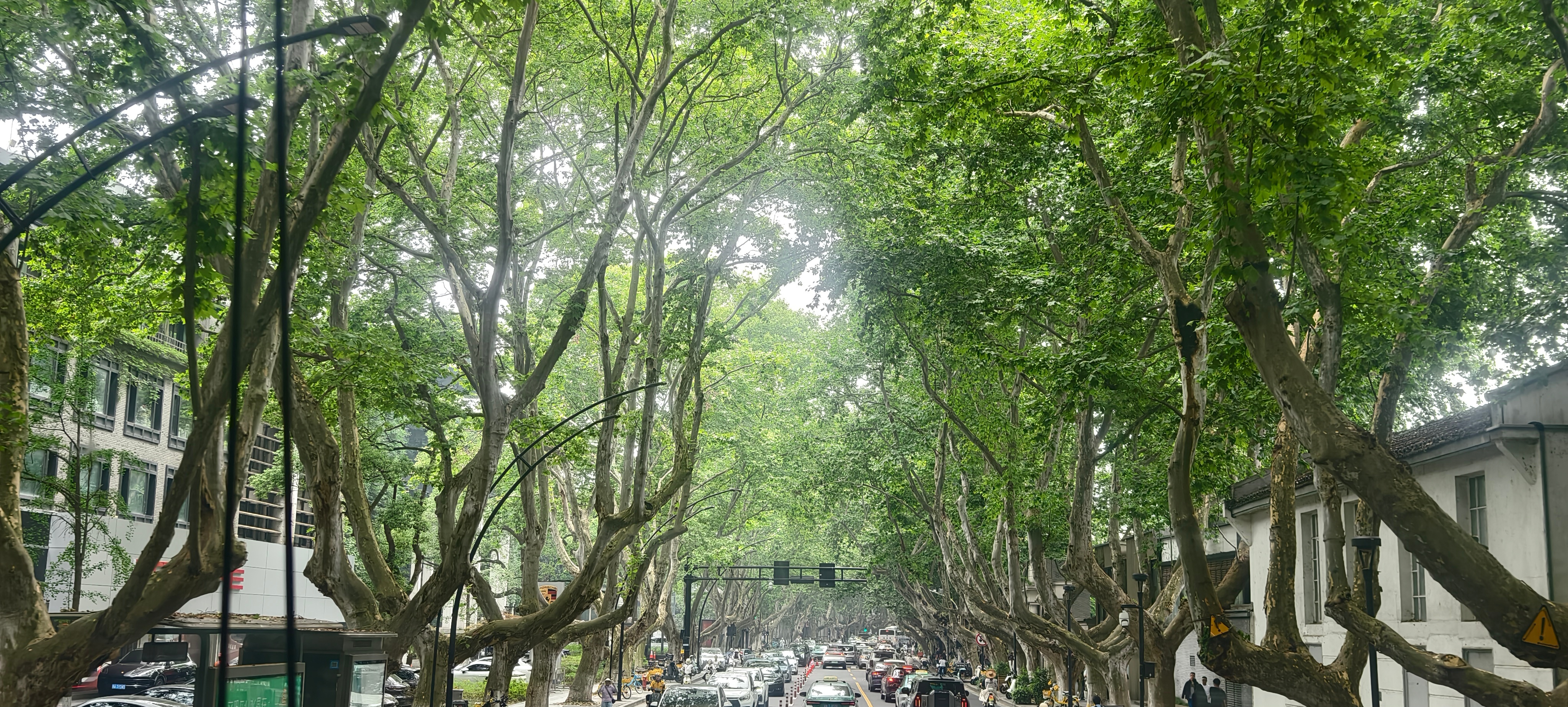 每次路过这里，还是满脑子的welcome… 杭州·南山路景区