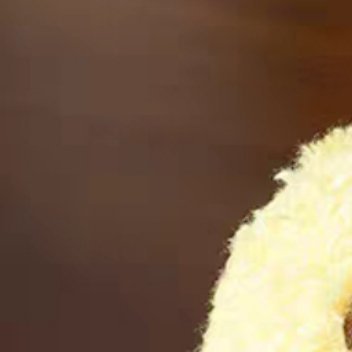 0000心向暖阳在喧嚣中守护内心的清泉，于纷扰里浇灌灵魂的花园。心有阳光的人，足