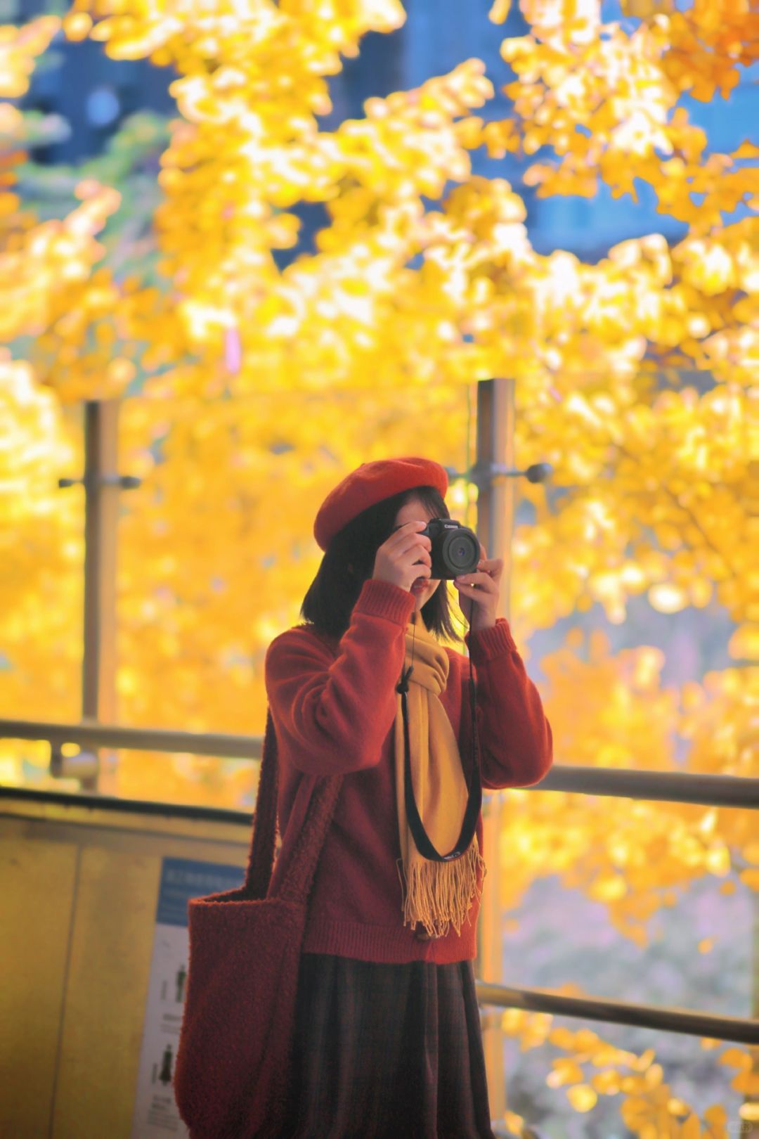 我愿称为武汉最美秋日地铁站❗️闯入漫画里