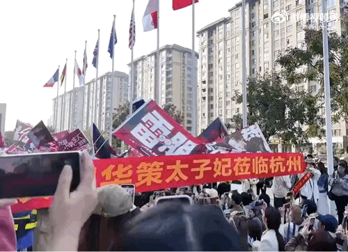 他们真的是粉丝吗？觉得自己的cp糟心事还不多吗？这样搞下去，他们的工作想恢复正常