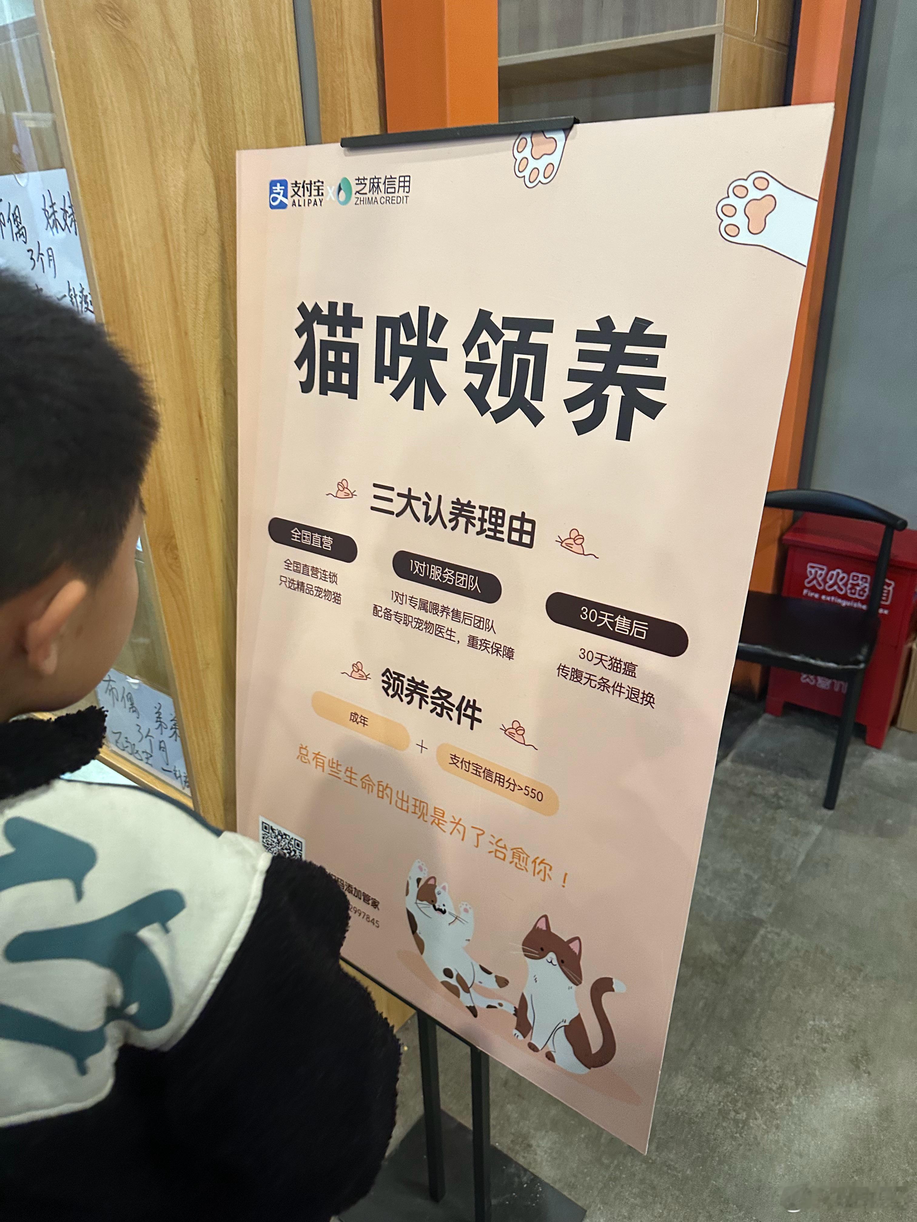 免费领养？ ​​​