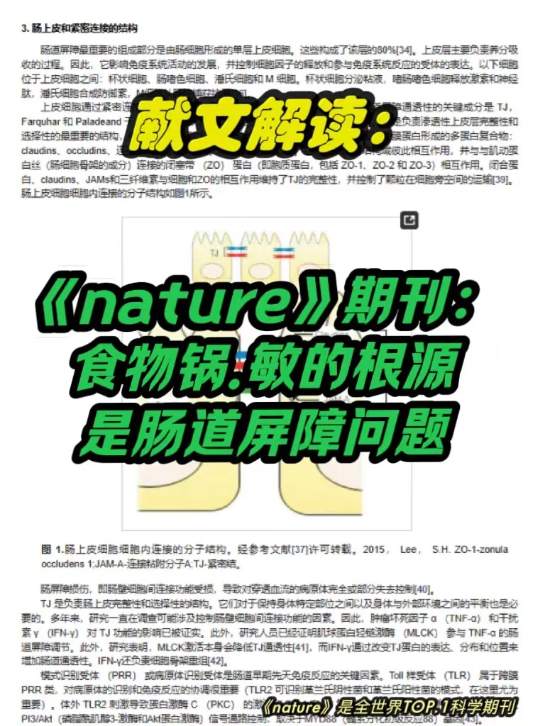 《nature》期刊：食物锅敏的根源是肠漏