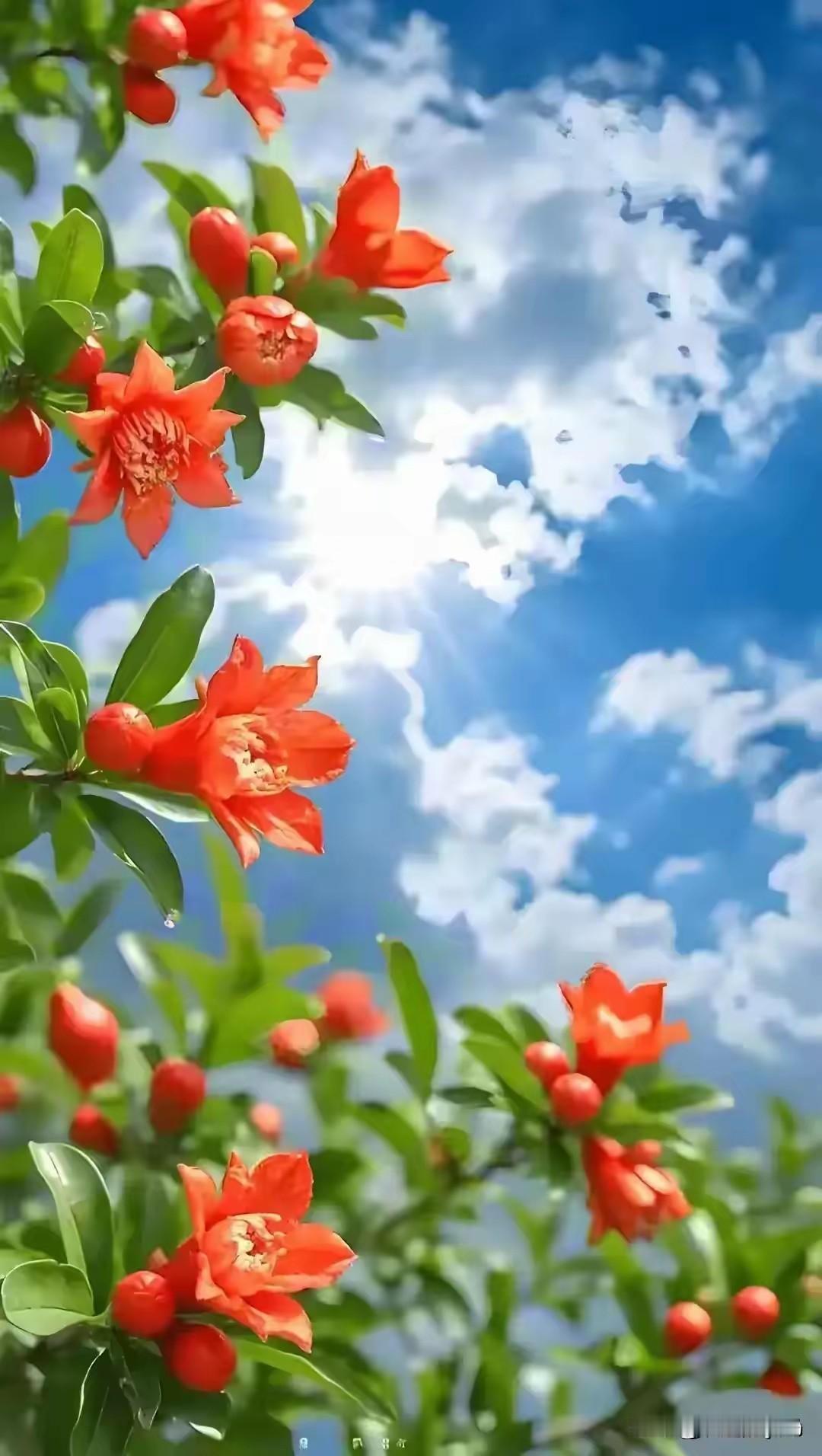 《忆秦娥·盛夏繁花》

文/识途的黑马
 
炎风烈，满园繁艳争相绽。
争相绽，榴
