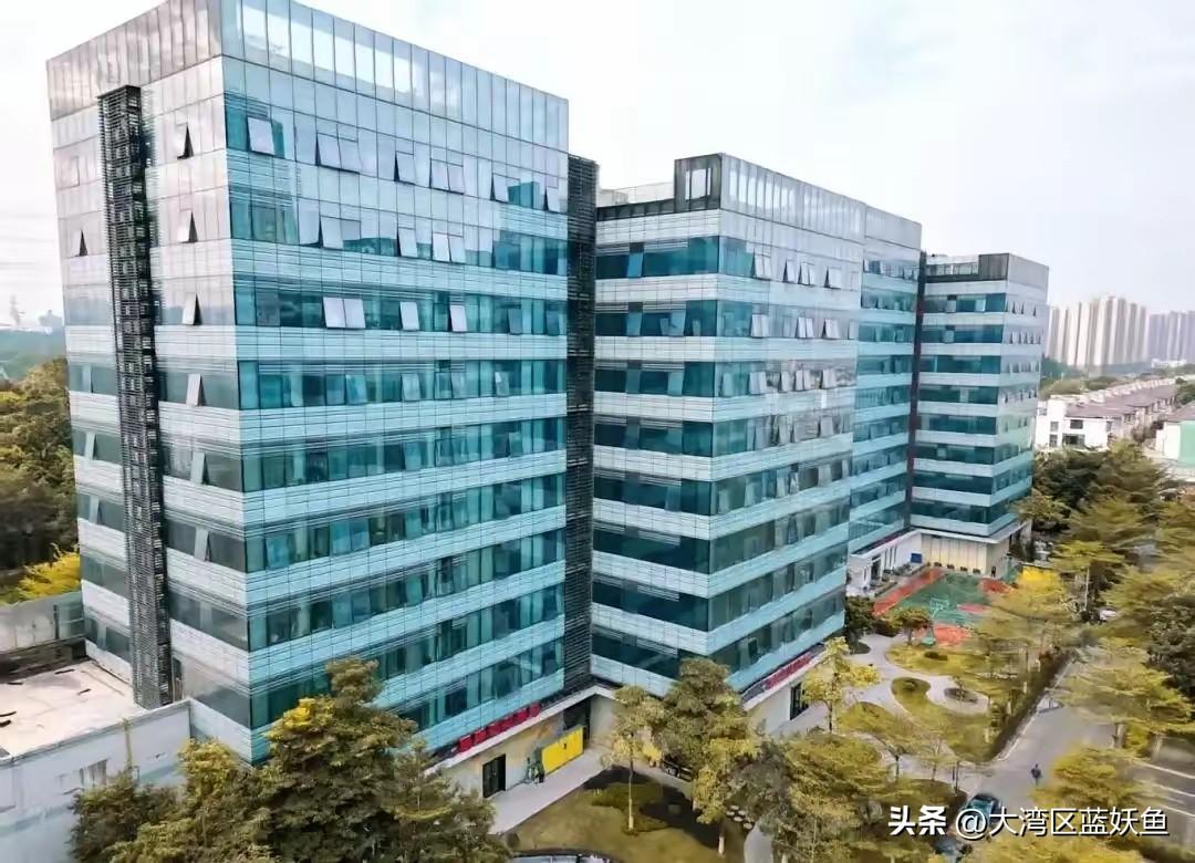 广州东部这波操作，属实把“产业提速”玩明白了。
 
总投资50亿的袋鼠妈妈AI智