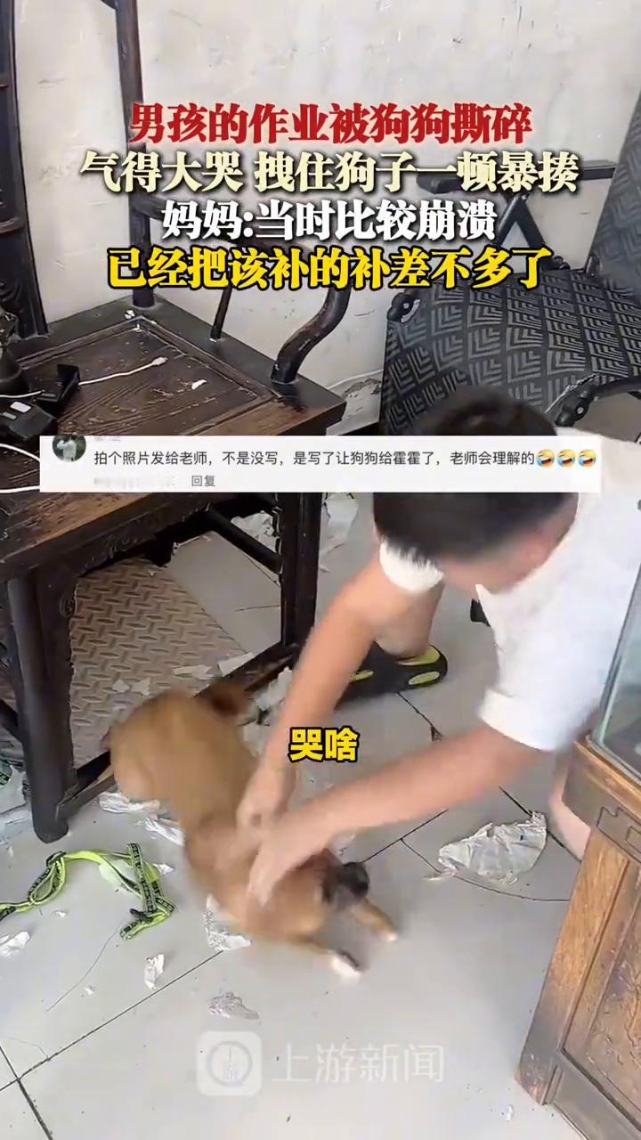 男孩的作业被狗狗撕碎，气得大哭拽住狗子一顿暴揍。妈妈：当时比较崩溃。
上游新闻。