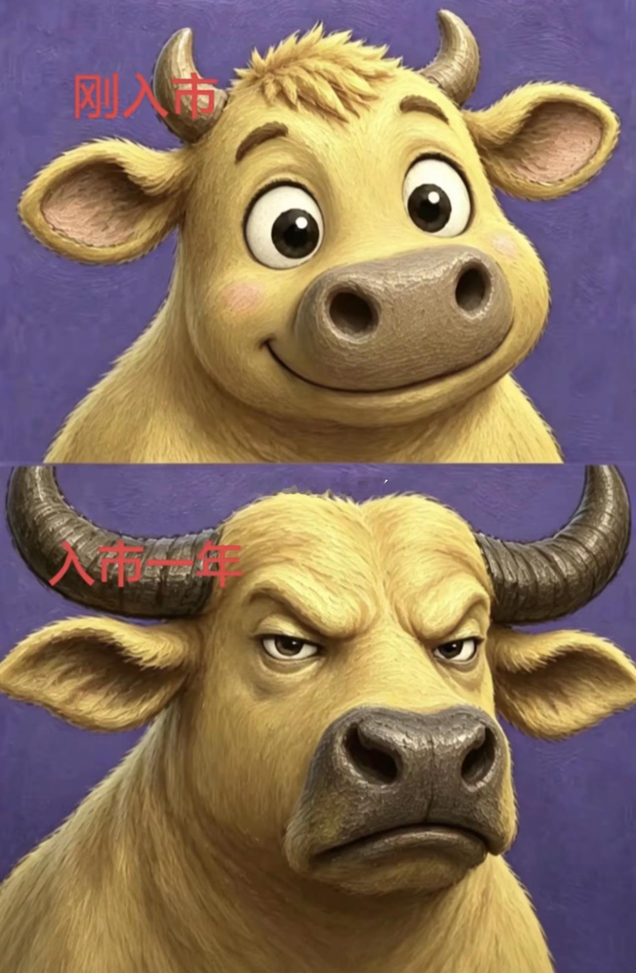 炒股会让人变。。。成熟。。。 