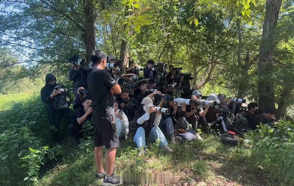 现场两个剧组，一个尚公主剧组，一个代拍剧组，两道风景线。看来孟子义李昀锐这CP还