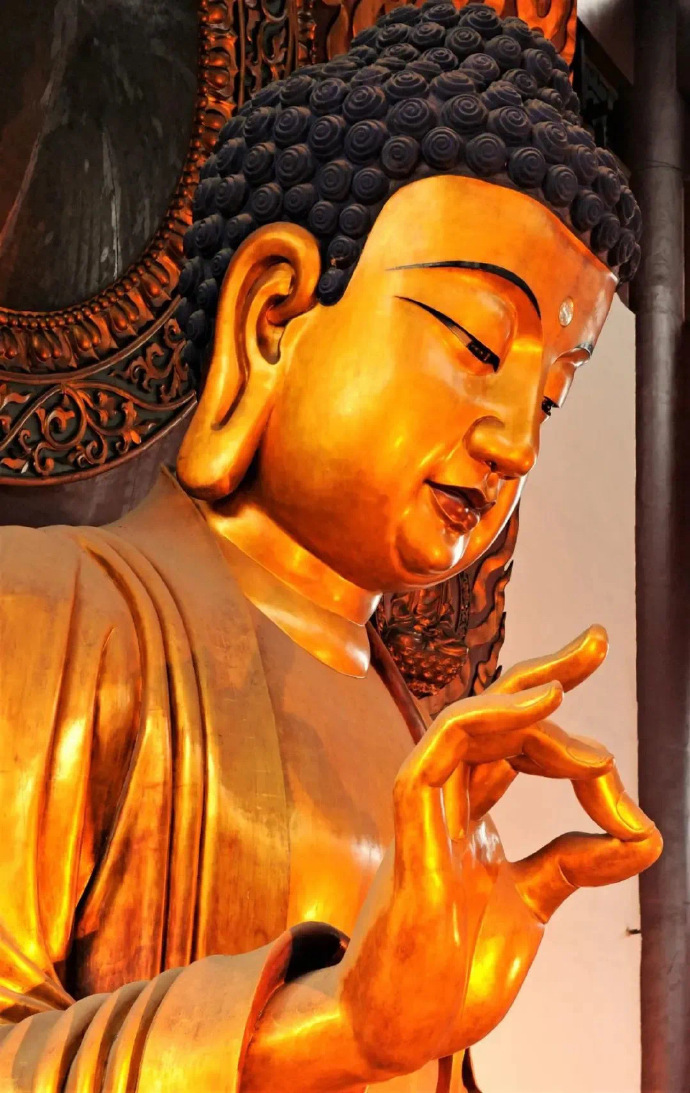 佛祖保佑你六月会像开挂一样顺利！ ​​​