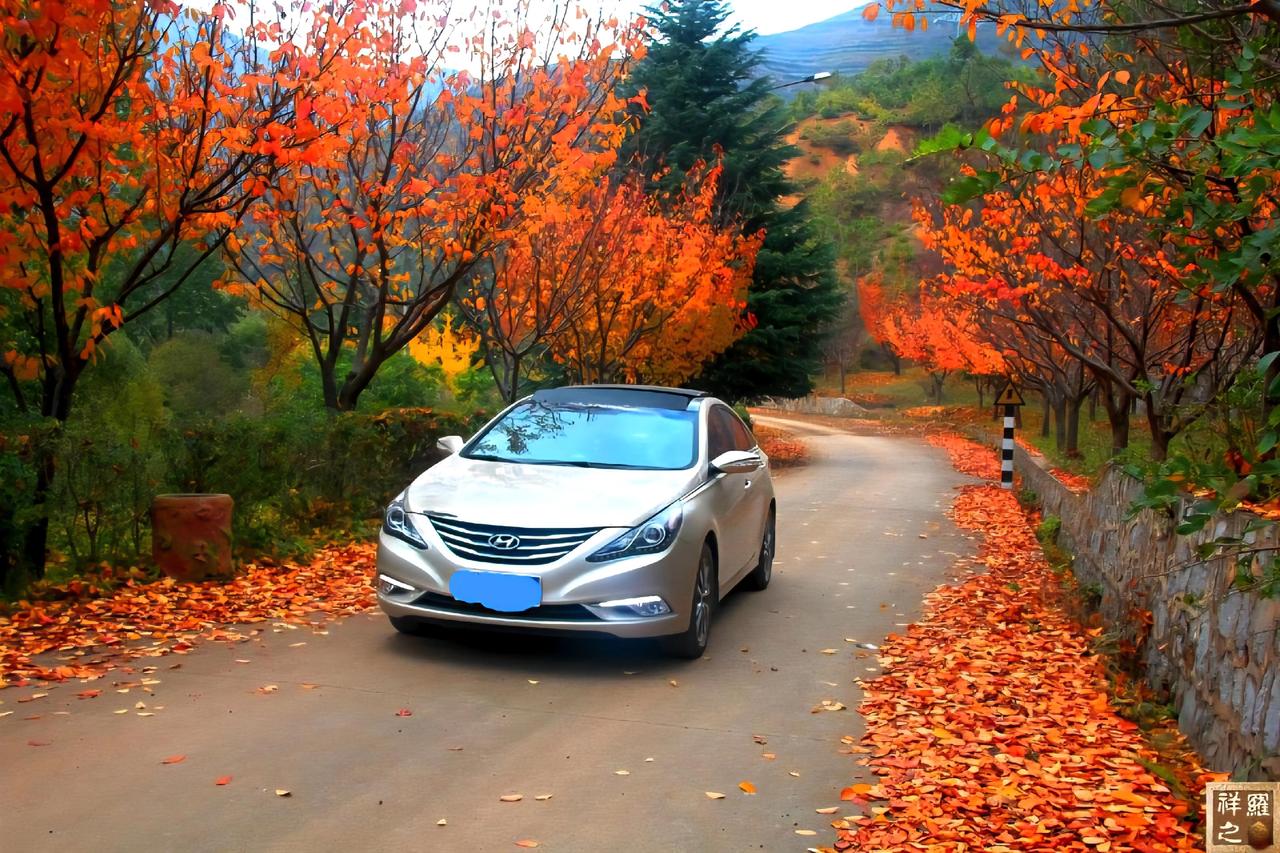 无处安放的秋天的第2组照片。这组照片感谢这个出镜的车！