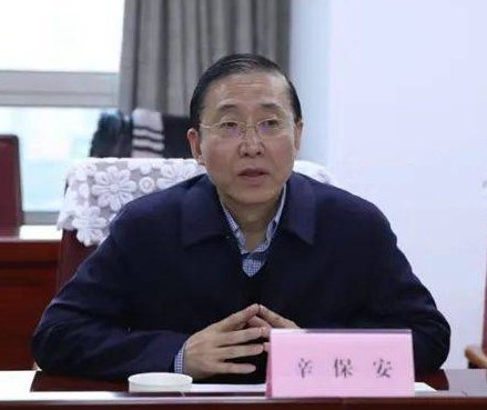 国网原董事长辛保安被查辛保安涉嫌严重违纪违法【国家电网有限公司原党组书记、董事长