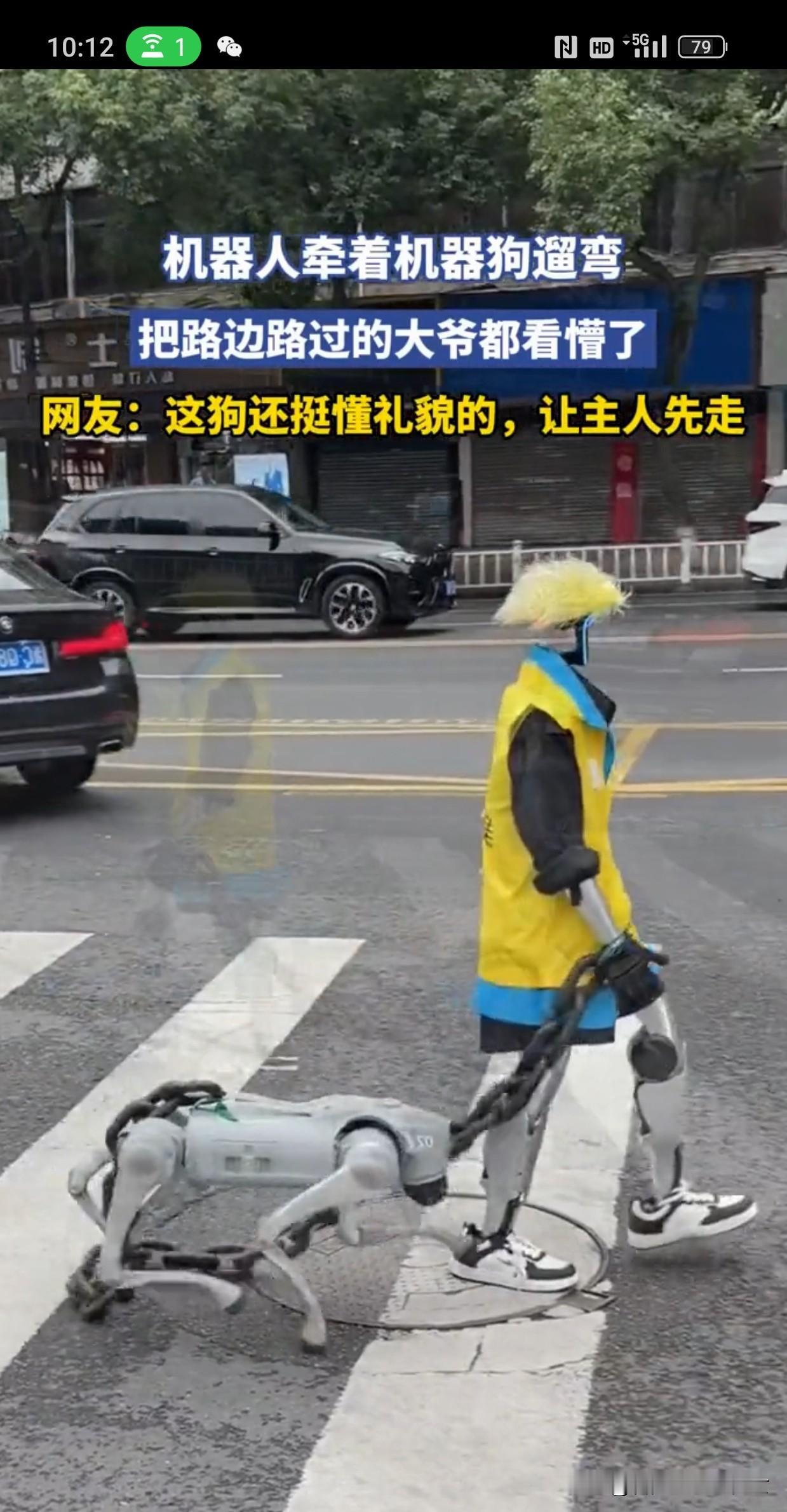 上海街头现奇景！人形机器人稳稳牵着机器狗遛弯，机械关节灵活如人，机器狗灵动跟随。