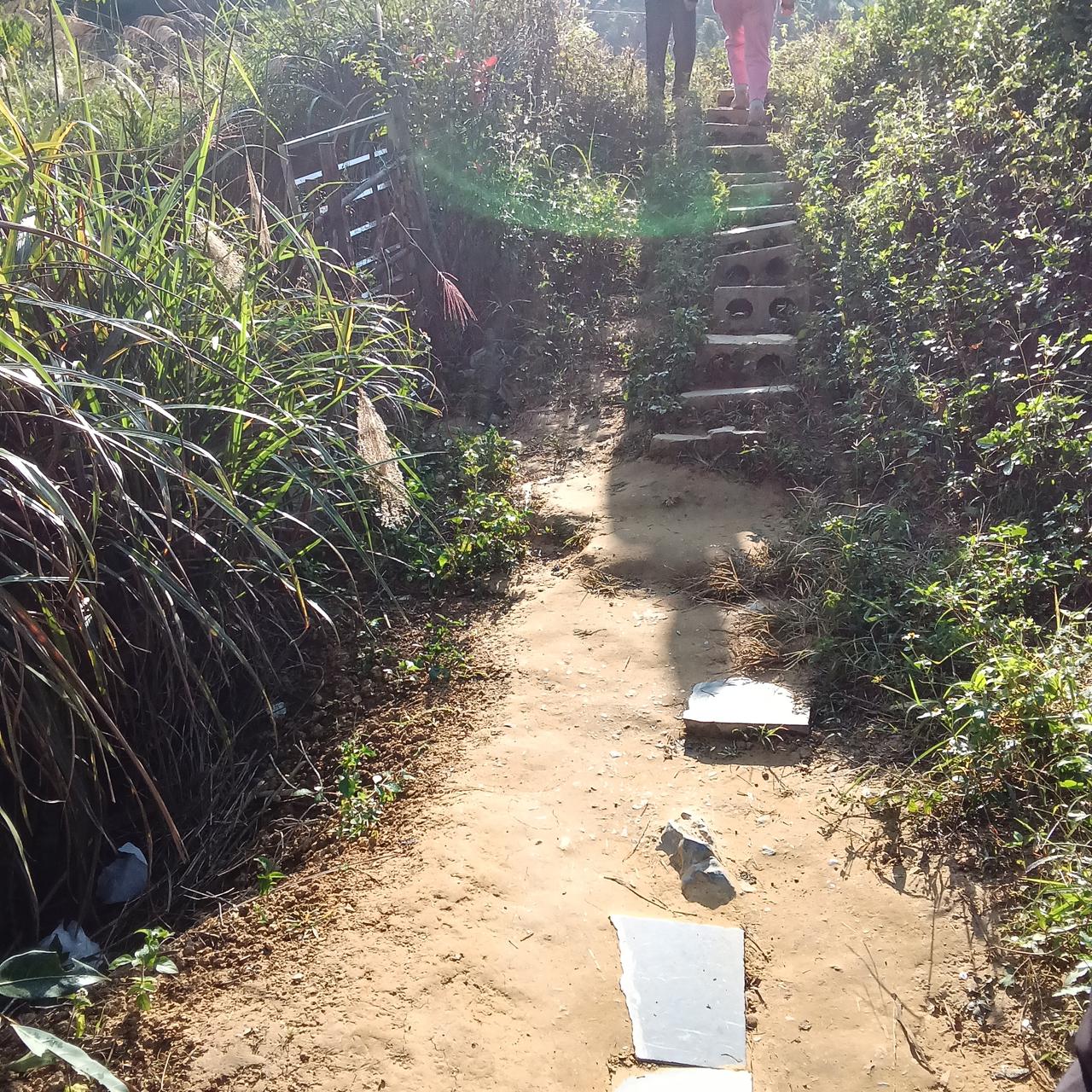 巴马的山间小路
条条通向百魔洞

今天我们走了另一条路，不知不觉也走到了白魔洞口