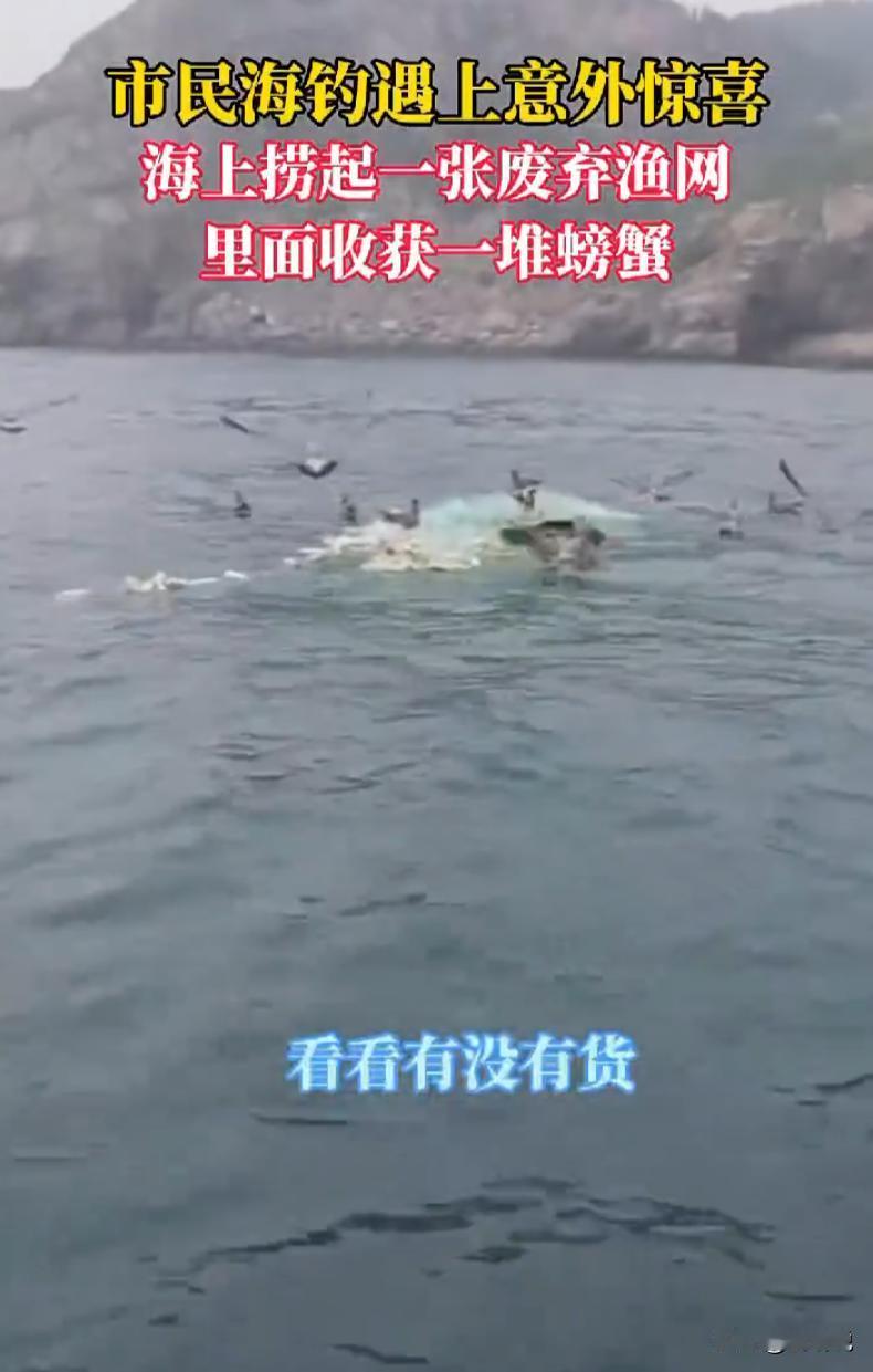 “发财了！”山东烟台，一男子和朋友出海海钓，没钓上几条鱼，捞到一张废弃渔网，直接