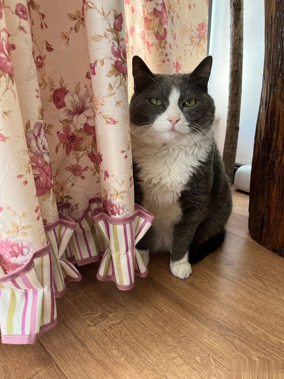 捉迷藏#憨猪能量[超话]# ​​​