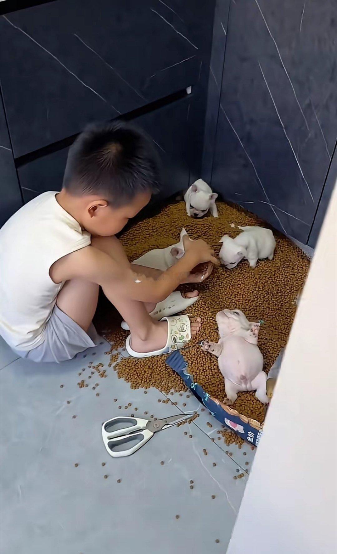 养了这样的宝宝和狗狗，该不该揍一顿？ ​​​