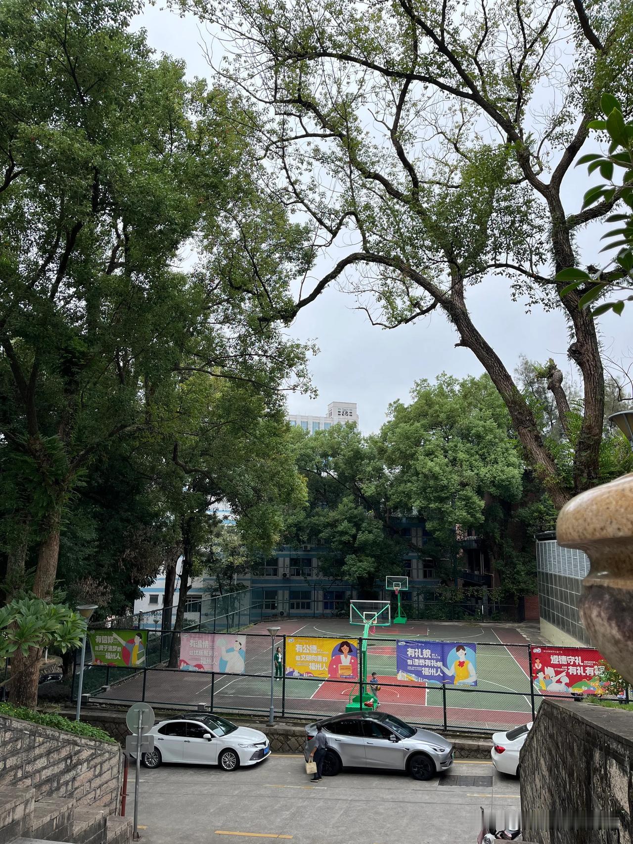 我家旁边有好几所大专院校，也有一所省内排名前五的本科院校。
说一下我肉眼看到的大