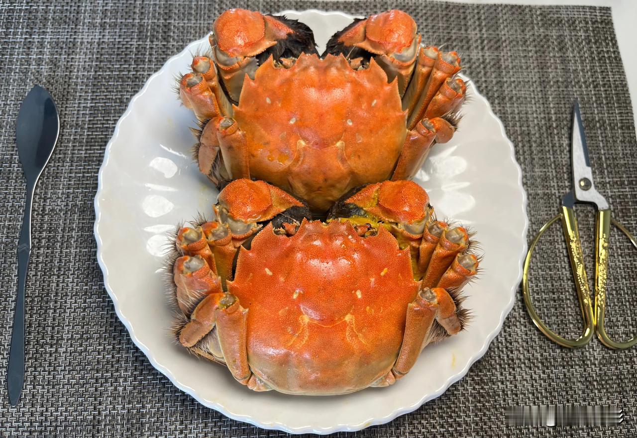 一眼教你区分公蟹母蟹：看螃蟹的腹部，公蟹肚脐是尖的，母蟹是圆的。
口感方面公蟹的