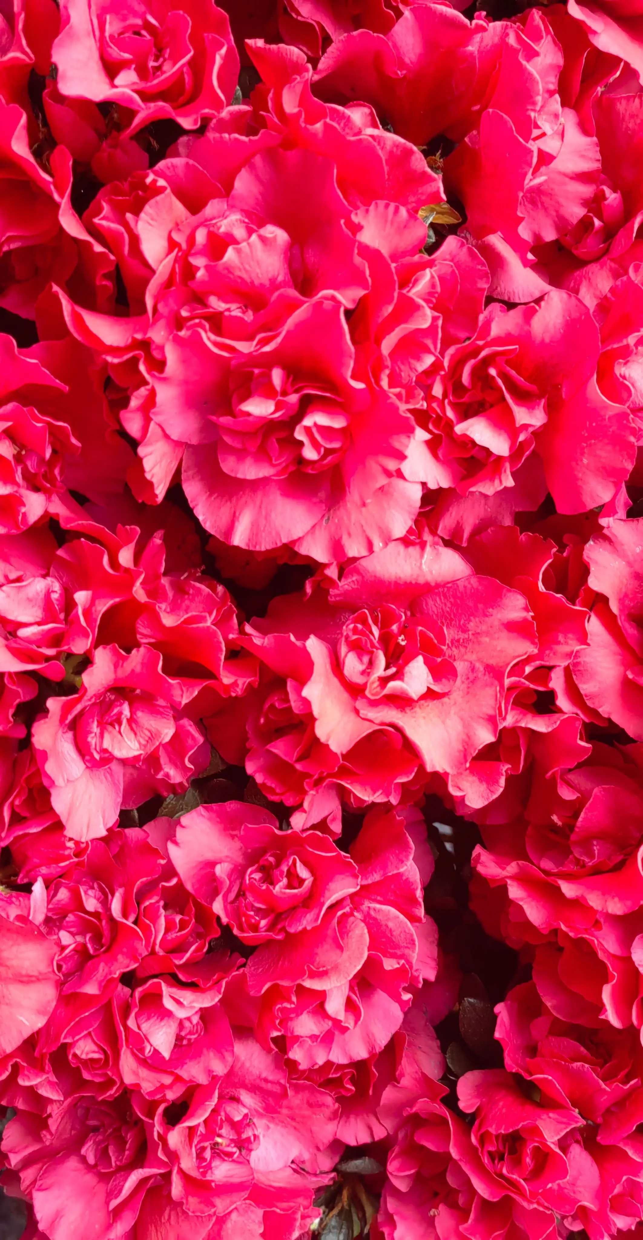 都说“不下雨行不得船”真的吗？