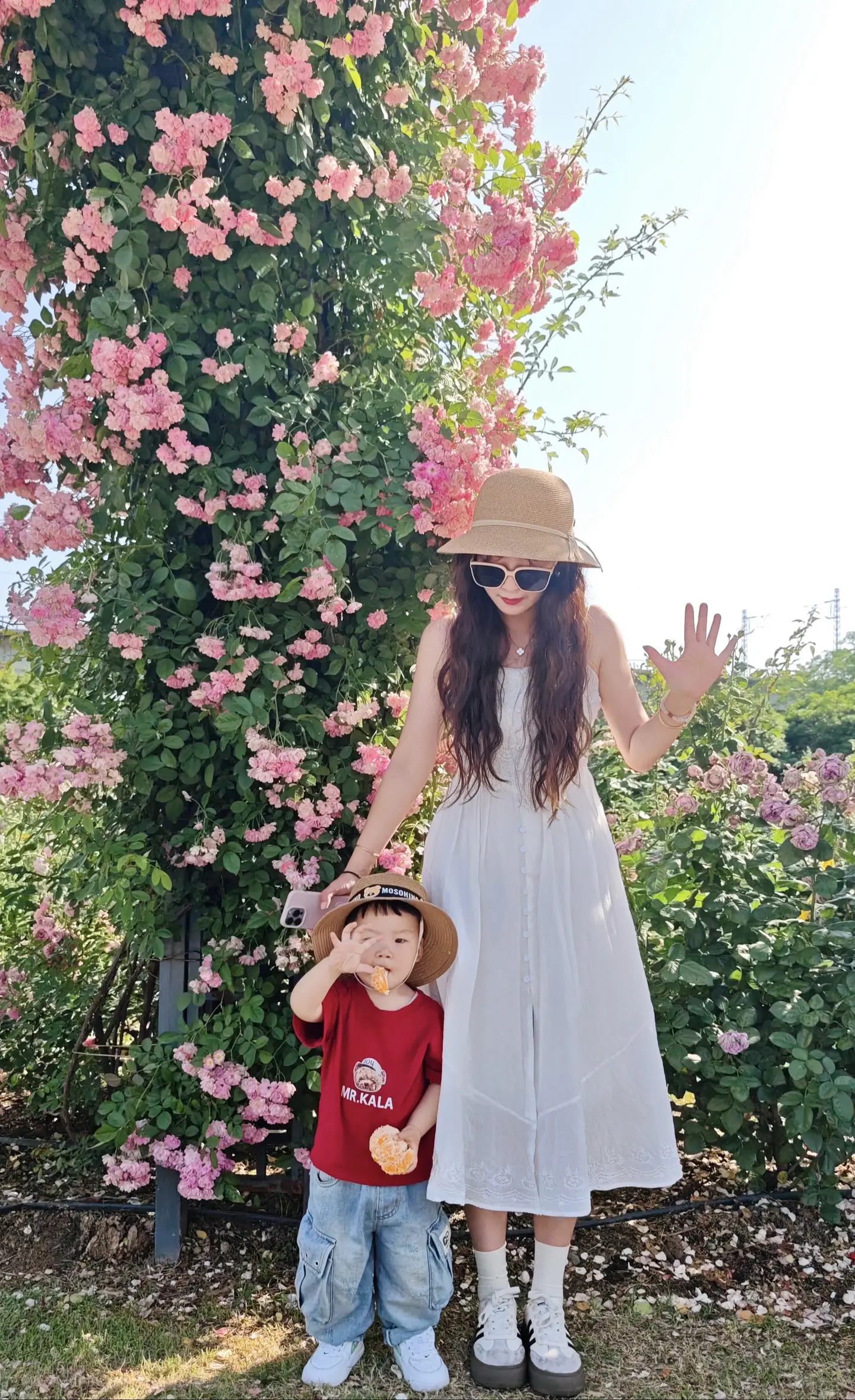 我们在世上 是为了感受阳光☀️