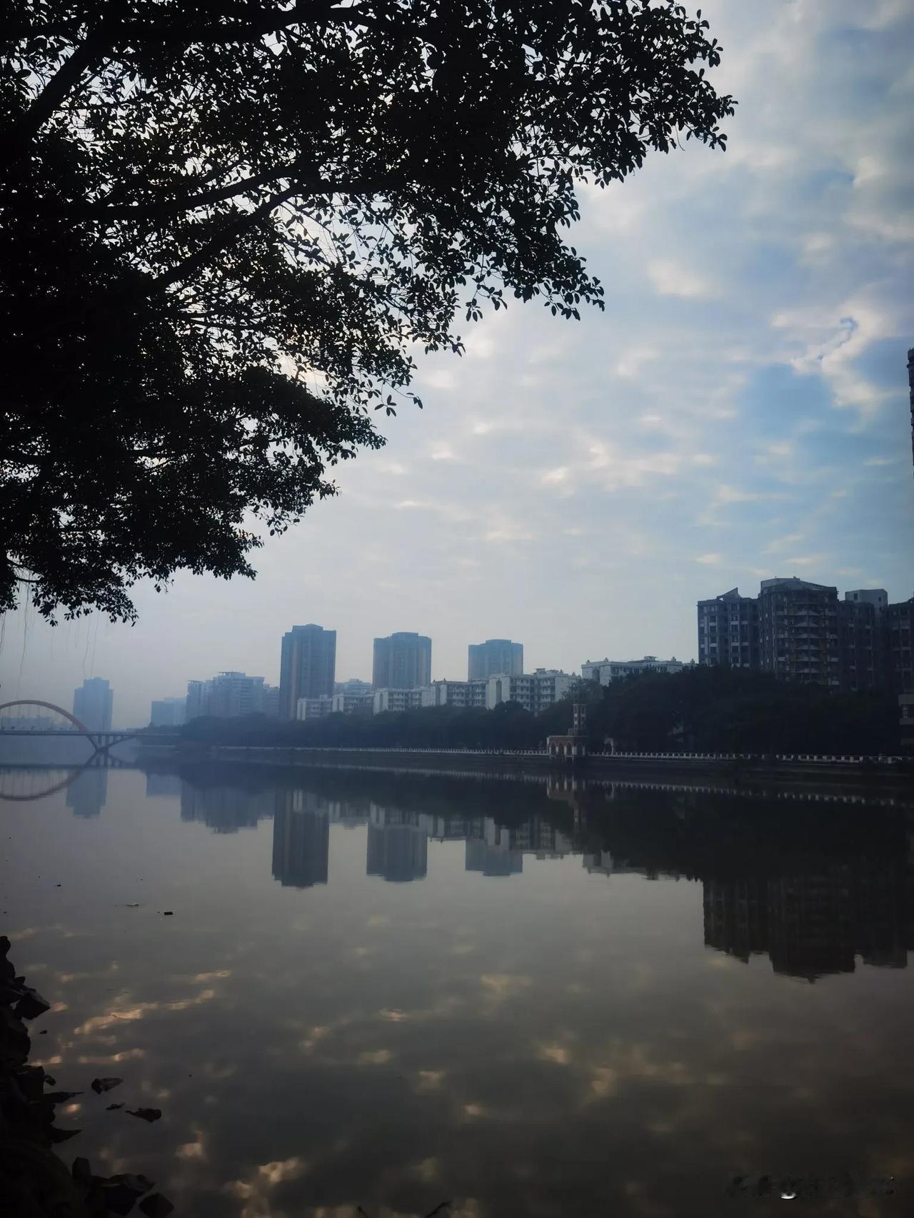 分享一张最近随手拍的照片早上有雾，气温回升影响，天空云层在聚集，阳光现在出来了，