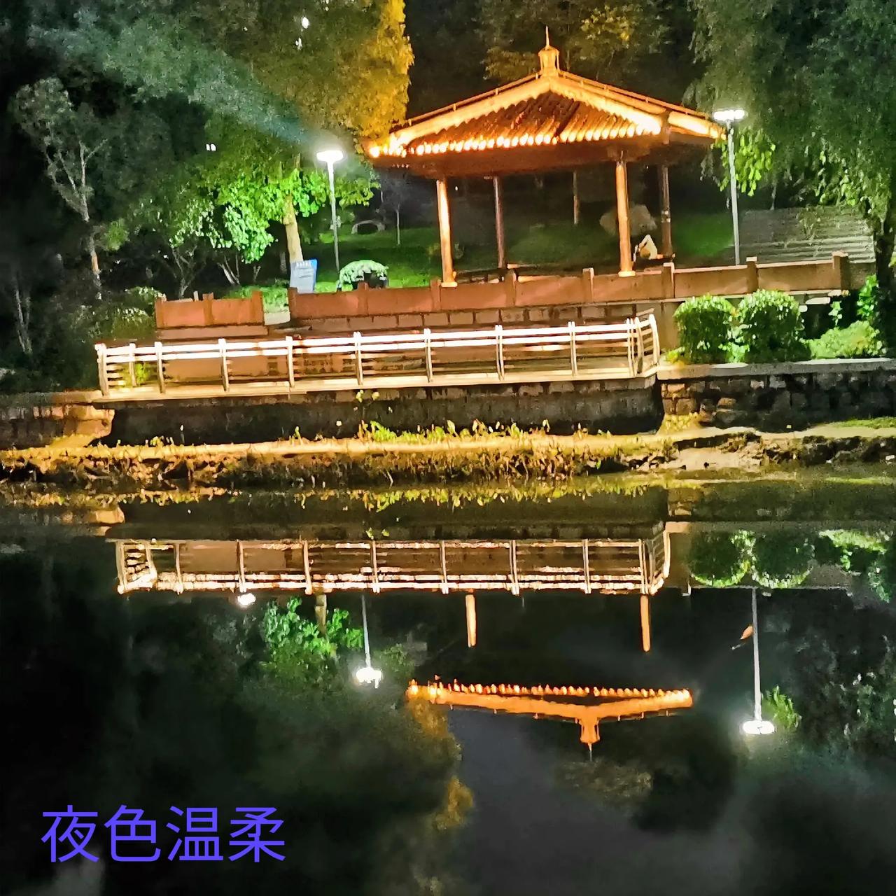冬日随手拍